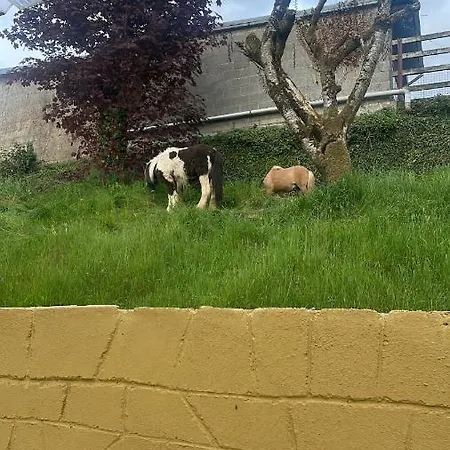 Danny's Bar & County Clare