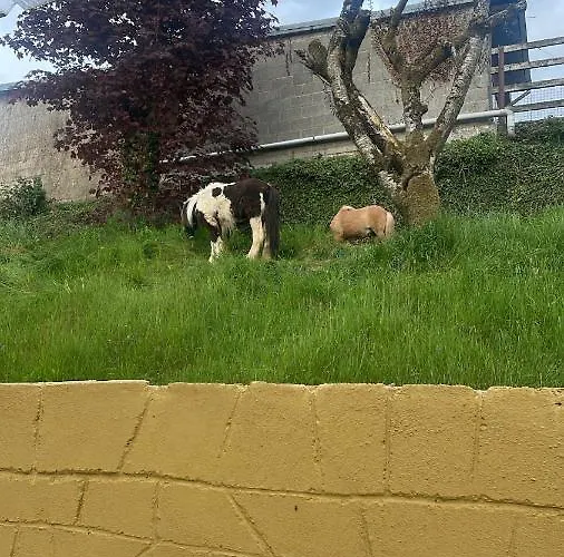 Danny's Bar & County Clare